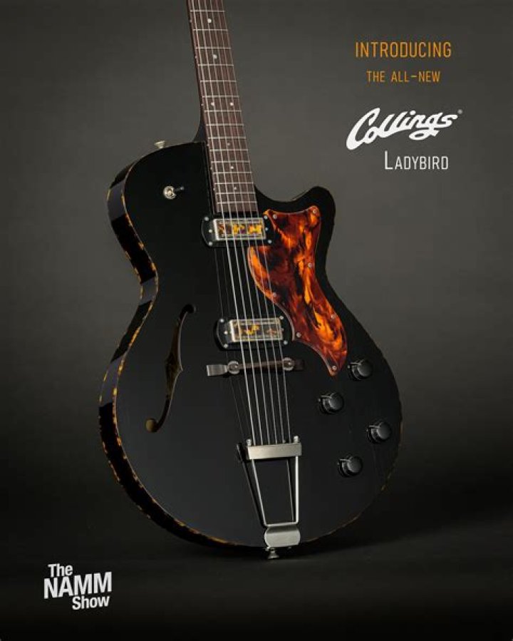 Are Collings guitars worth it?