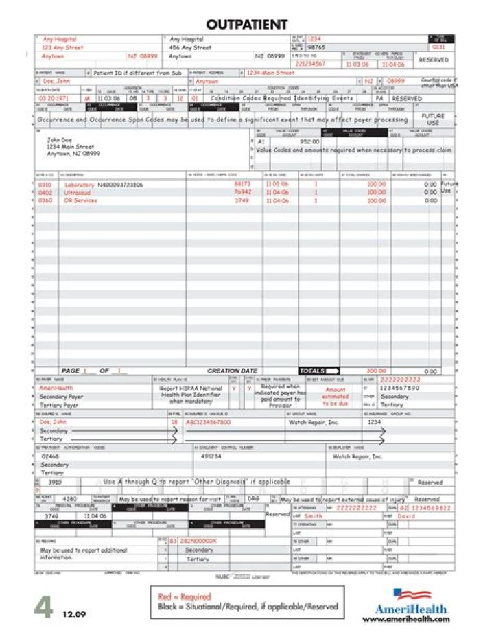 Can a physician bill on a ub04?