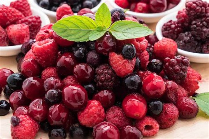 Can chickens eat Saskatoon berries?