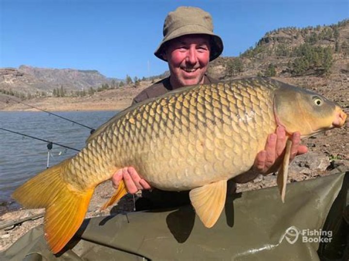 Can you catch carp in April?