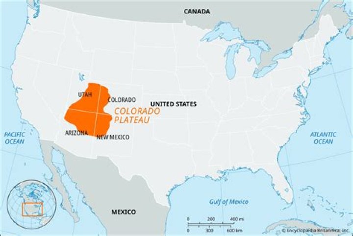 Does Colorado have a state senate?