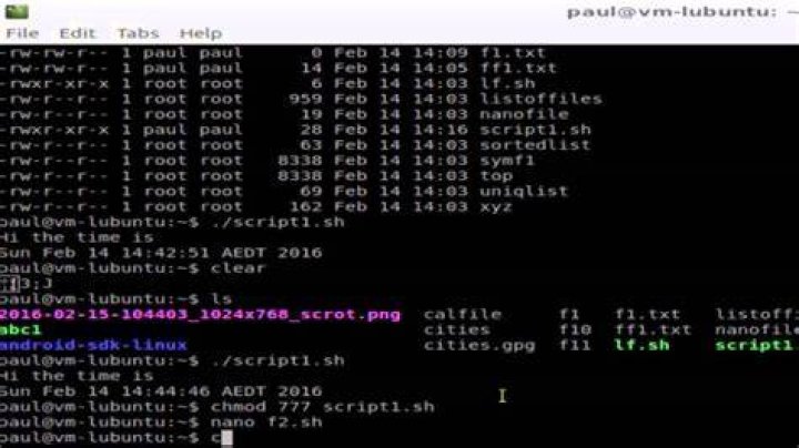 How do I execute a Unix script?
