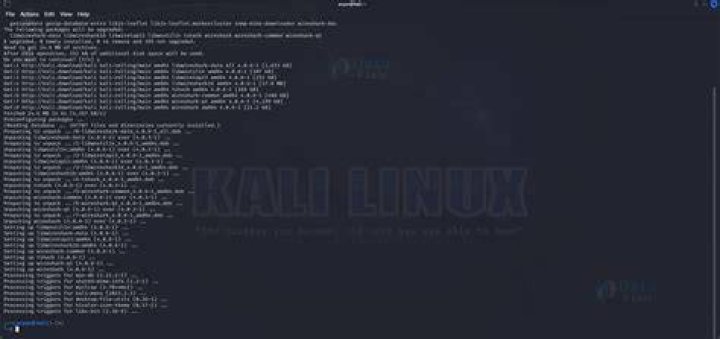 How do I run Wireshark in Linux?