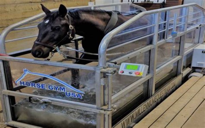 How much does a water treadmill for horses cost?