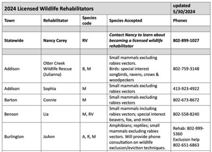 How much does a wildlife rehabber make?