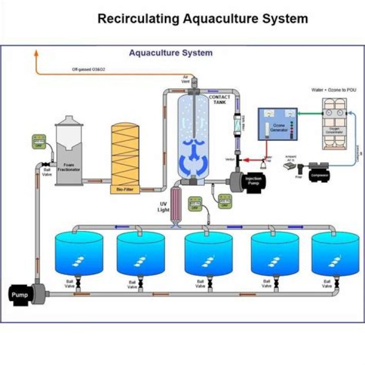 How much does recirculating aquaculture system cost?