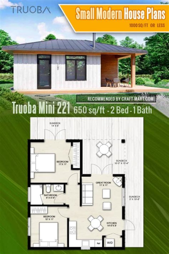 How much is a 1000 sq ft tiny house?