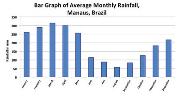 How much rain does Manaus Brazil get?