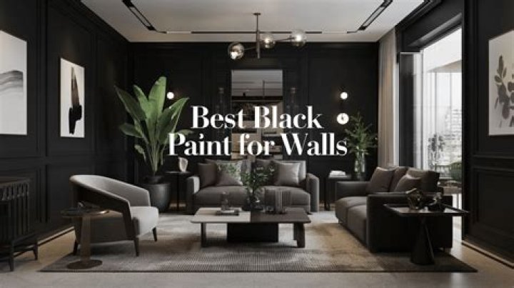 Is black paint good for walls?