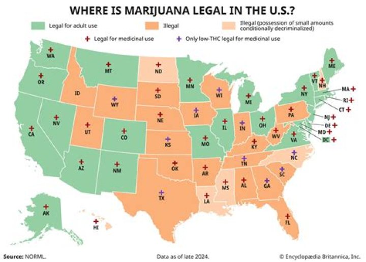 Is it illegal to have blunt wraps?