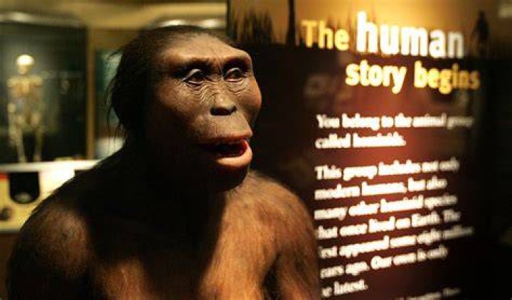 Is Lucy the first human real?