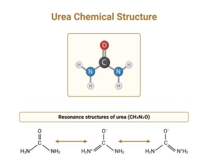 Is urea soluble in acetone?
