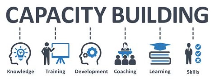 What are capacity building models?