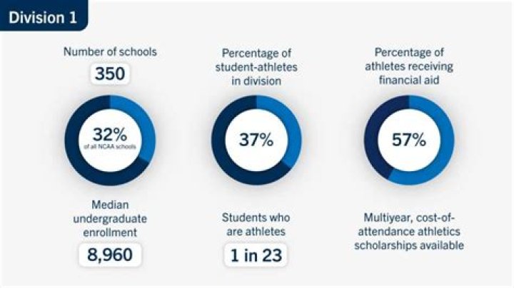 What are smaller d1 schools?