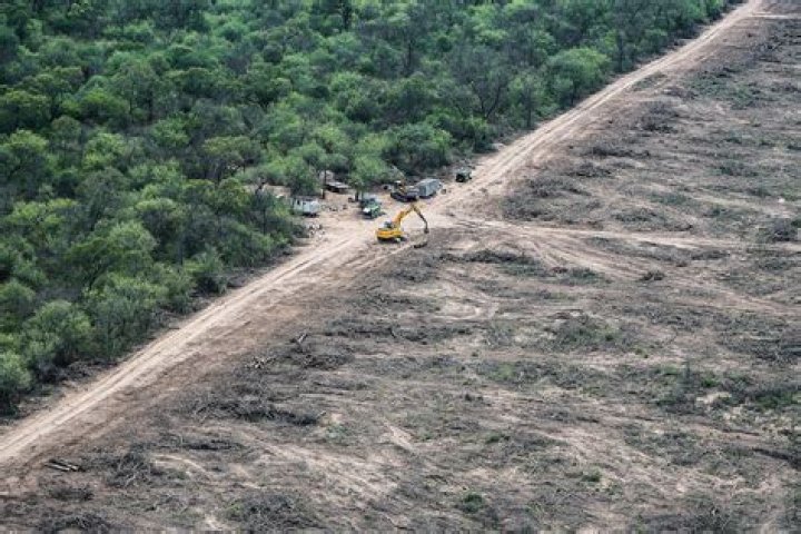 What are some environmental issues in Argentina?