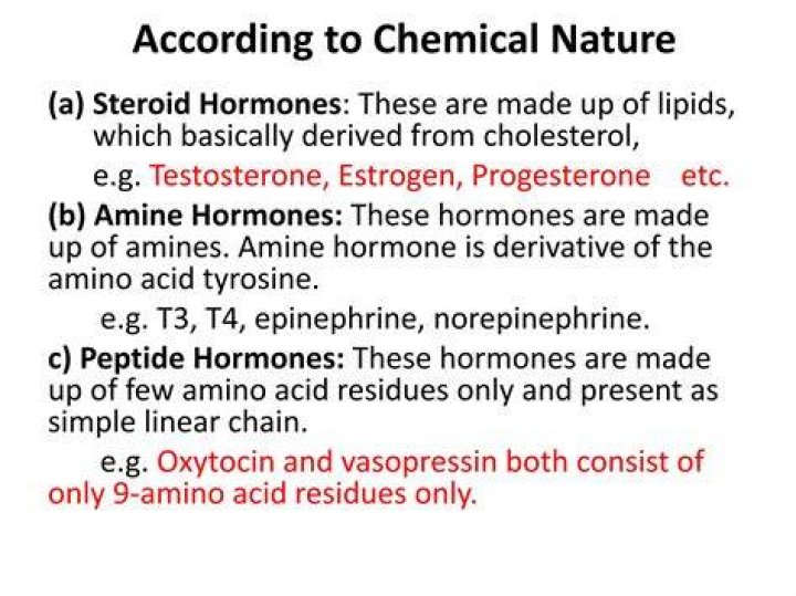 What are the 4 peptide hormones?