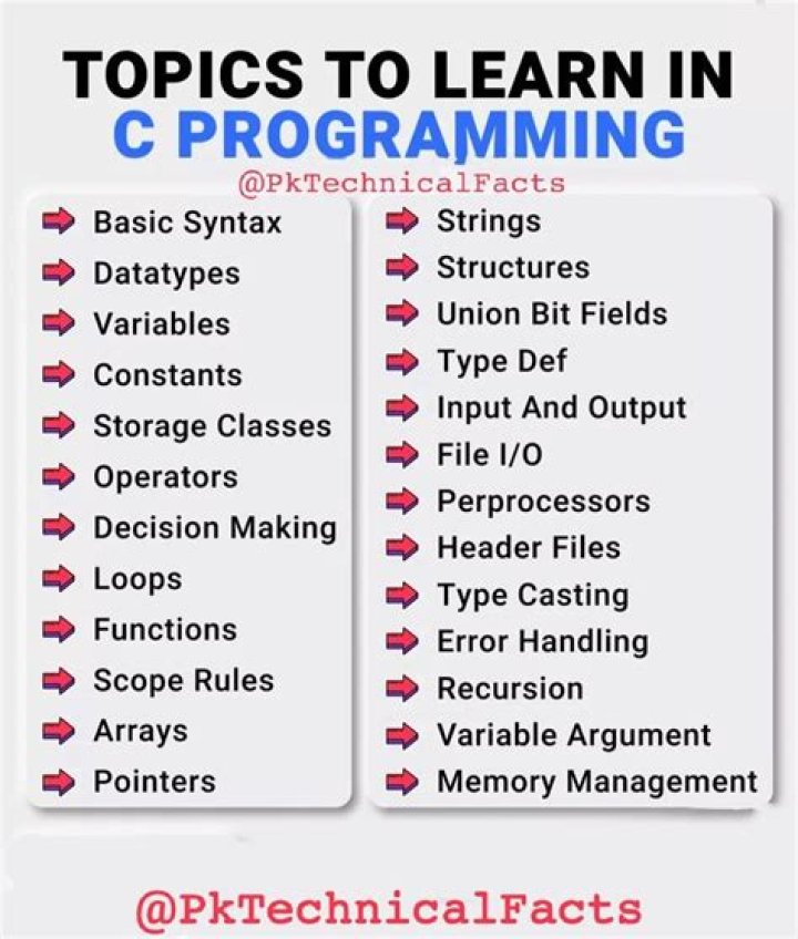 What are the main topics in C?