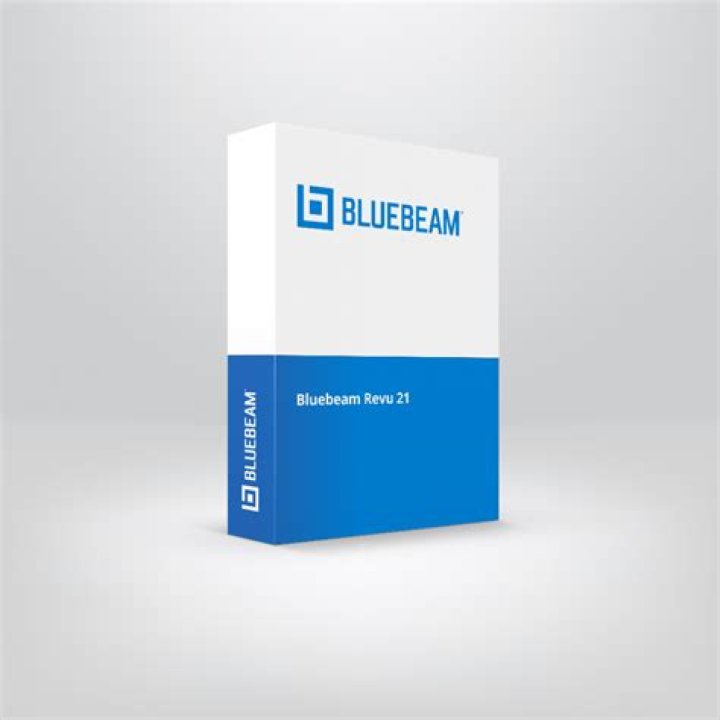 What companies use Bluebeam?