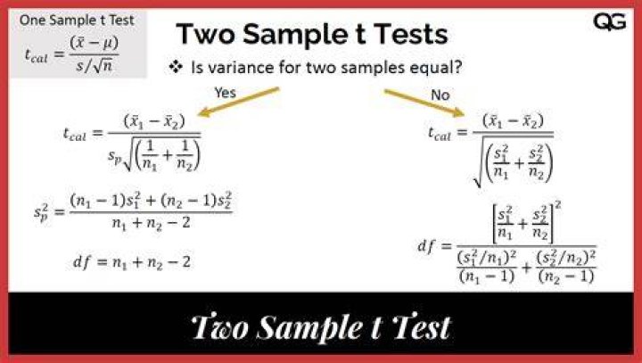 What does a 2 sample t test tell you?