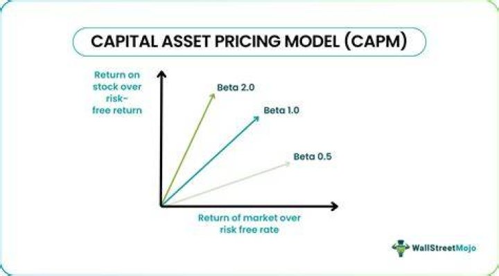 What does the CAPM model tell us?