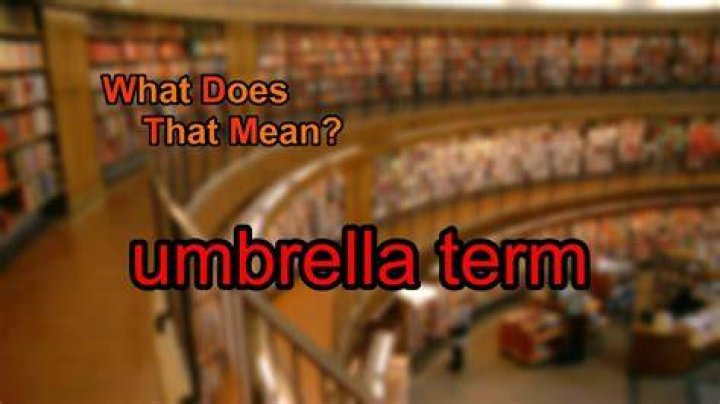 What does umbrella term mean?