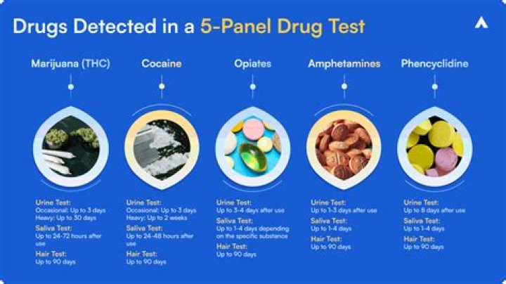 What drugs can a K-9 detect?
