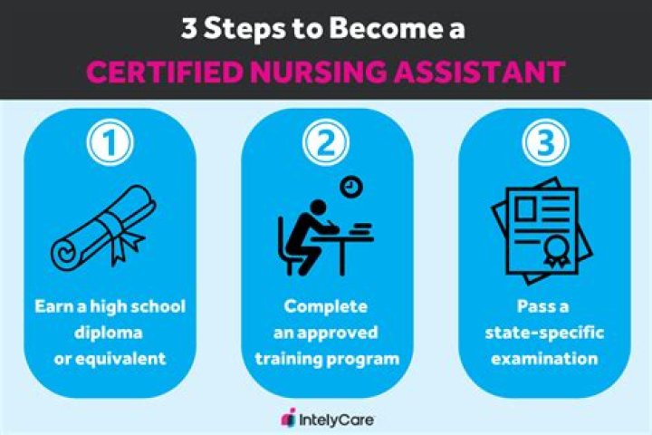 What is a CNA nurse do?
