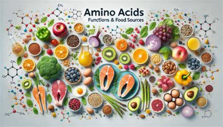 What is amino liquid diet?