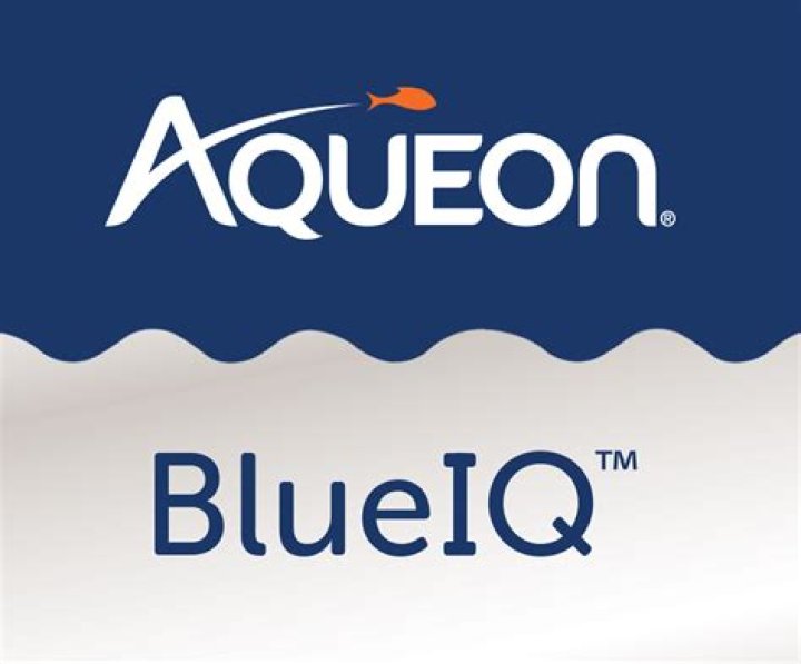 What is Arvest BlueIQ?