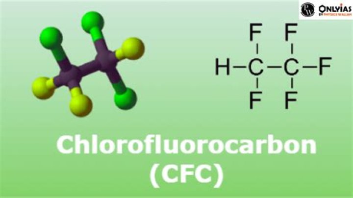 What is CFC in food?