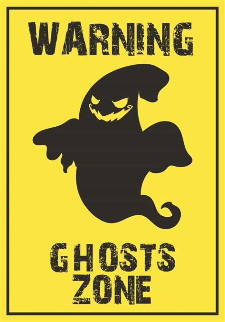 What is ghost Zone?