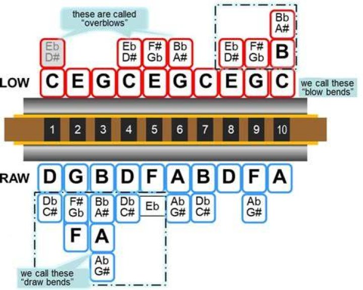 What is the best harmonica for bending notes?