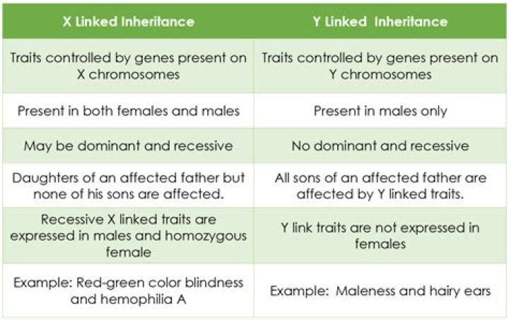 What is the difference between inheritance and delegation?