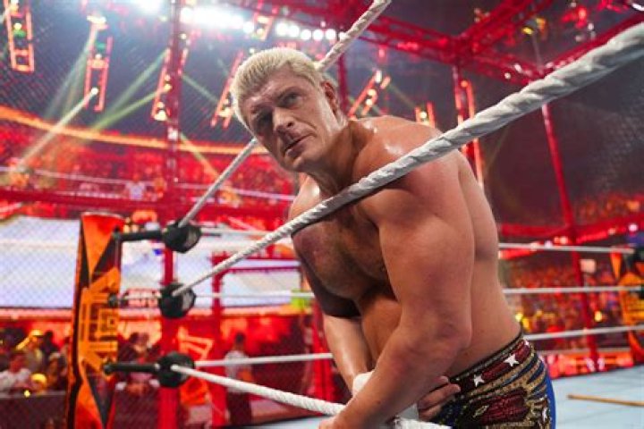 Who has the most Hell in a Cell matches?