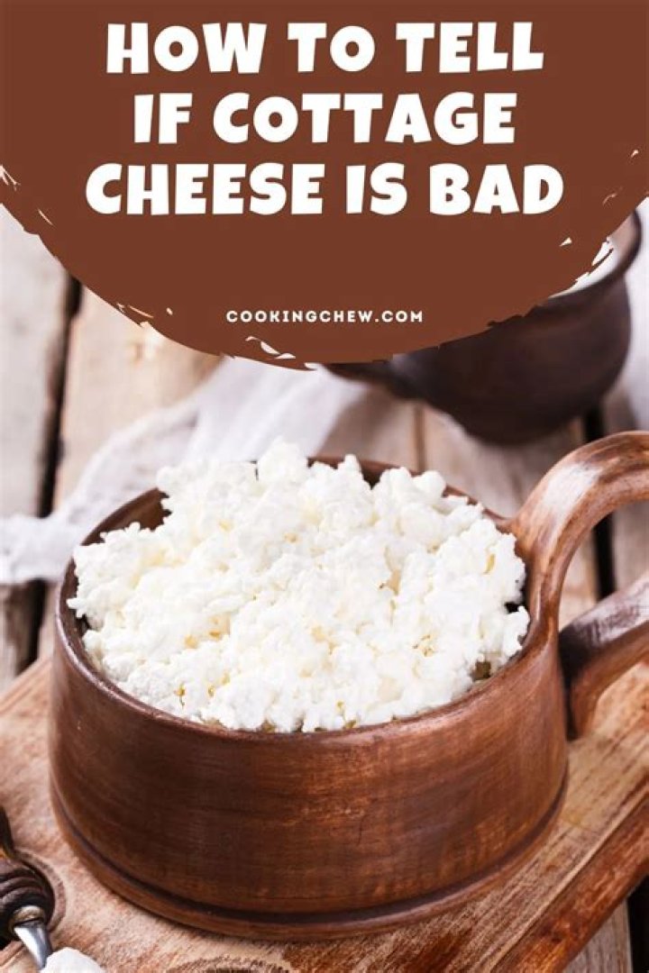 Why cottage cheese is bad for you?